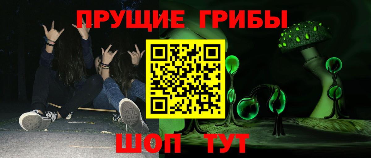 Галлюциногенные грибы Psilocybine cubensis  Галлюциногенные грибы прущие грибы  Сланцы  Вход с VPN 